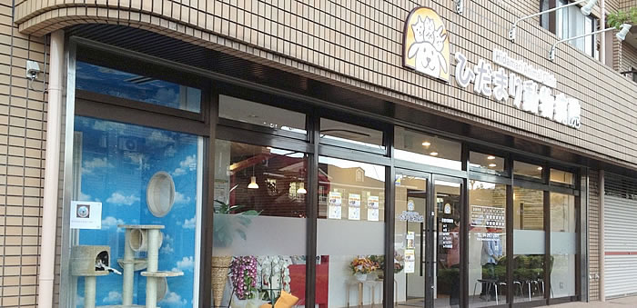 外観