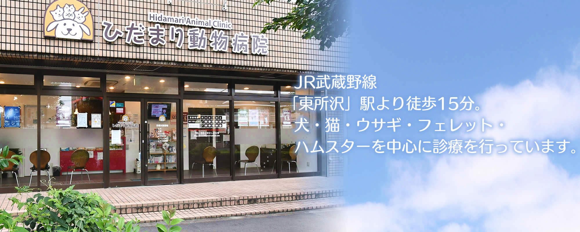 ひだまり動物病院。「東所沢」駅より徒歩15分。犬・猫・ウサギ・フェレット・ハムスターを中心に診療